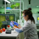 Inside Nutrileague Labs – Where Science Meets Nature