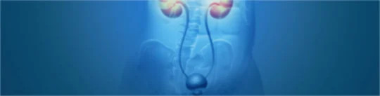 Urinary Tract Health